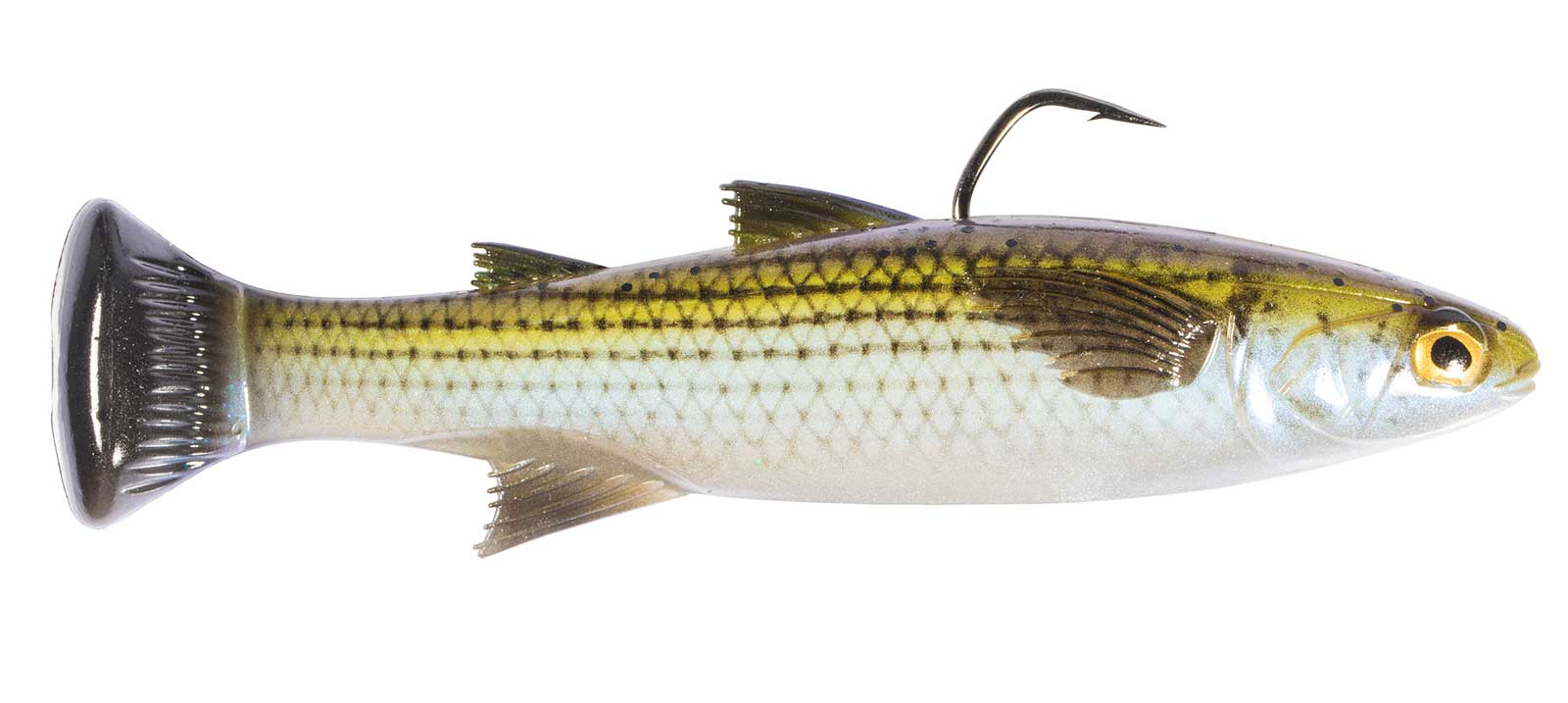 Mulletron LT (Line-Through) Swimbait by Z-Man Fishing Products - ICAST  Fishing