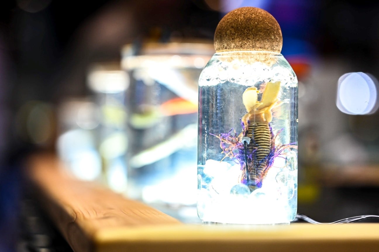 Early Birds Get the Leads and the Deals at ICAST