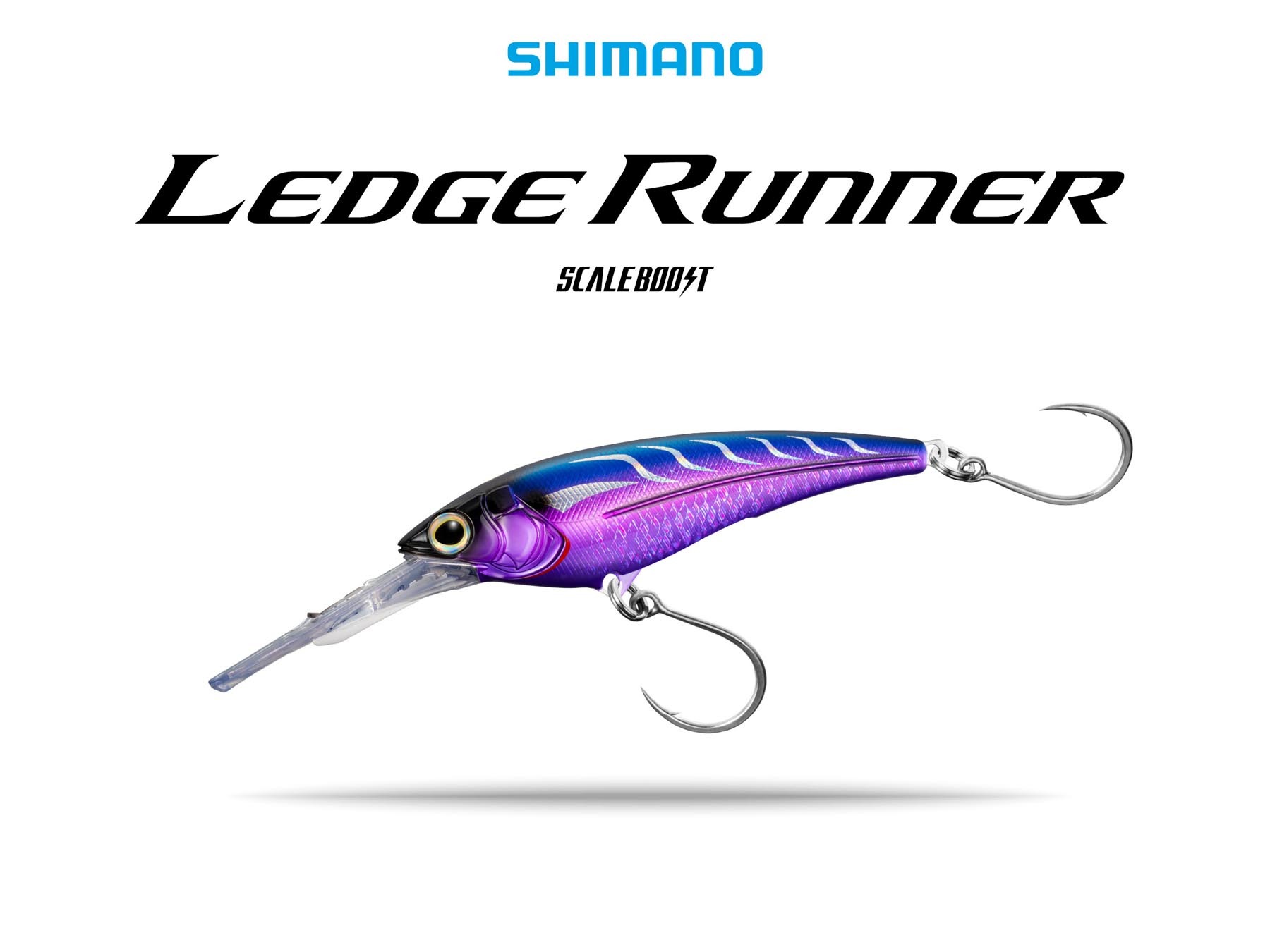 LEDGERUNNER – LR200SA   